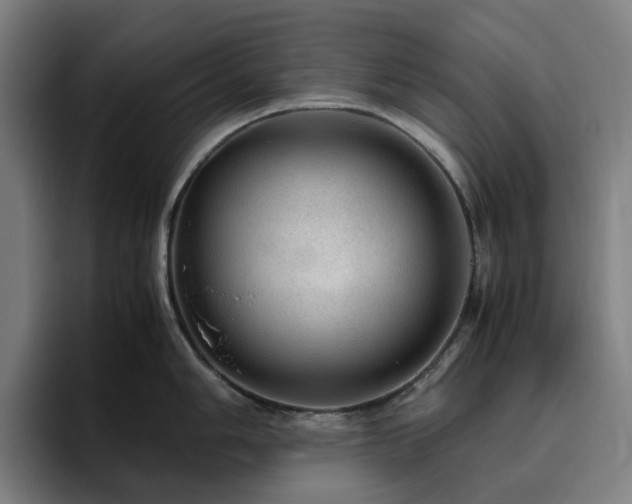 X0000094821006200711161524