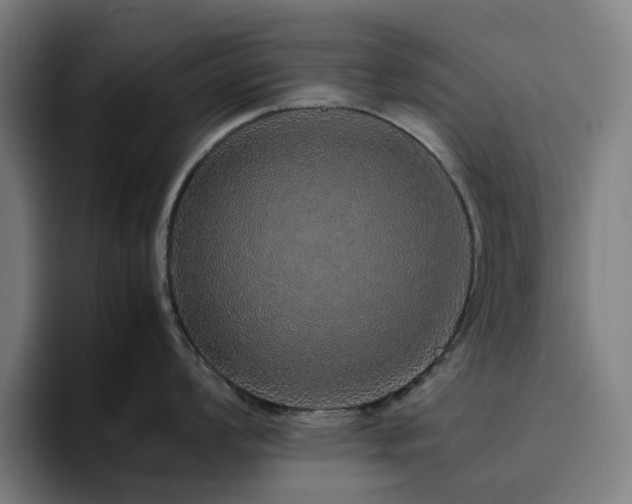 X0000094821008200711161524