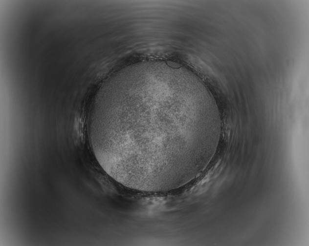 X0000094821010200711161523