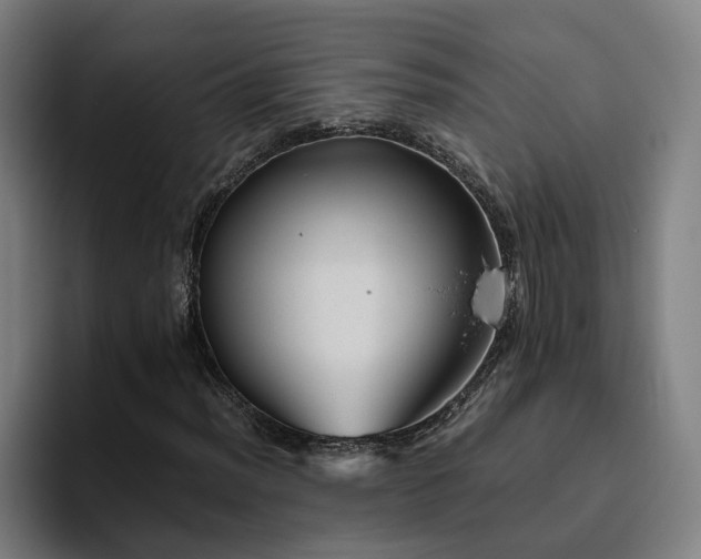 X0000094821012200711161523