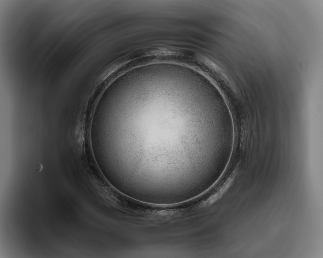 X0000094821017200711161523