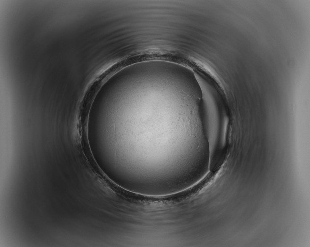 X0000094821018200711161523