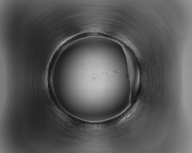 X0000094821020200711161523