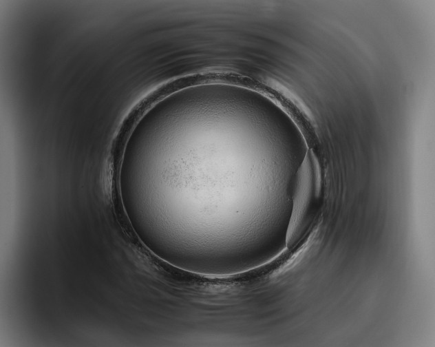 X0000094821021200711161523
