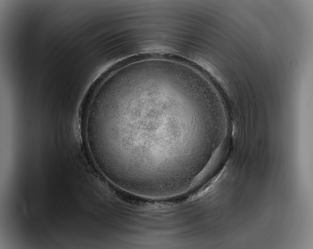 X0000094821022200711161523