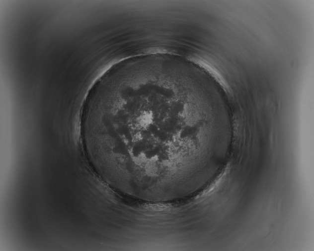 X0000094821023200711161523