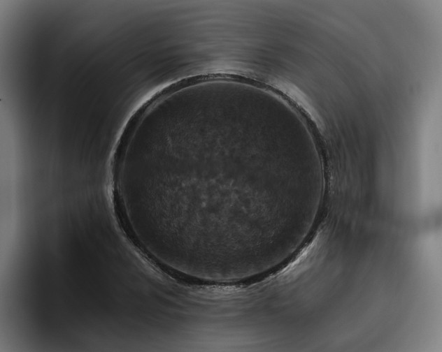 X0000094821024200711161523