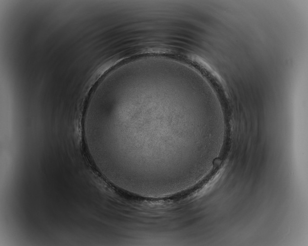 X0000094821025200711161523