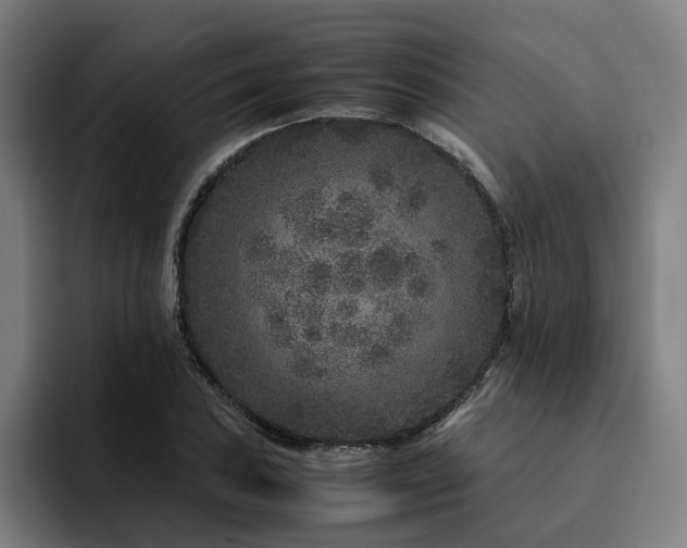 X0000094821027200711161523