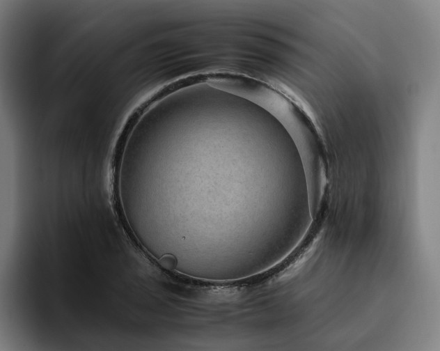 X0000094821029200711161523
