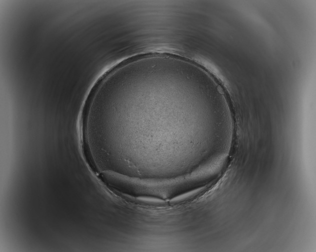 X0000094821032200711161523