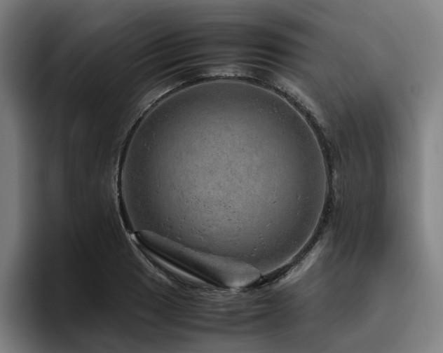 X0000094821033200711161524