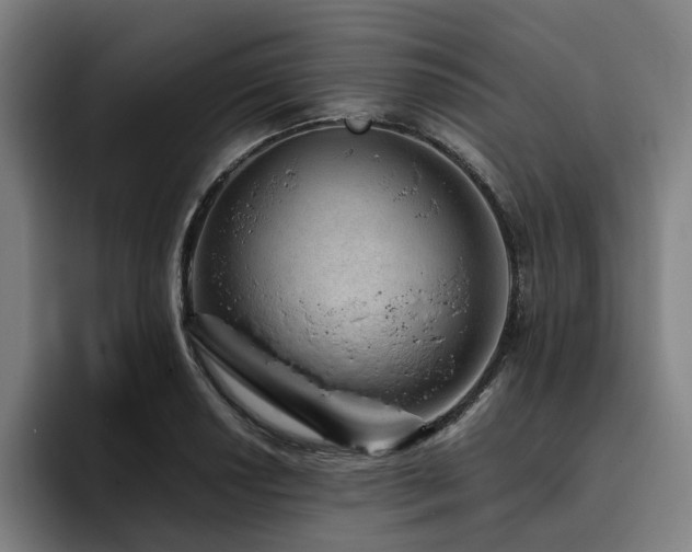 X0000094821034200711161524