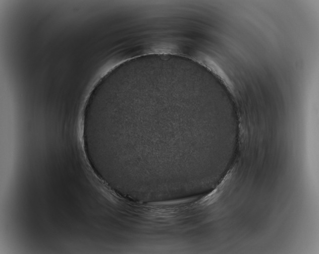 X0000094821035200711161524