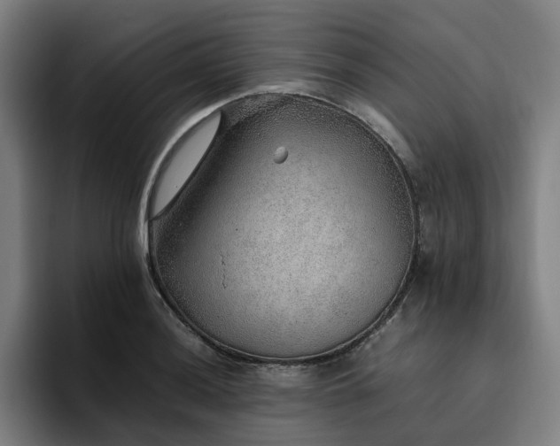 X0000094821036200711161524