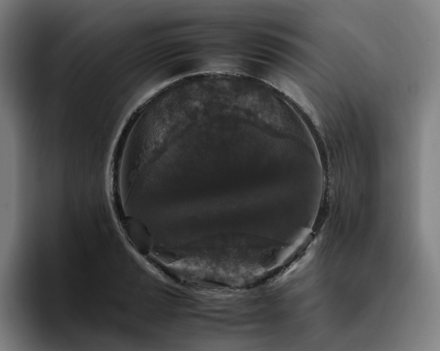 X0000094821037200711161524