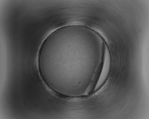 X0000094821038200711161524