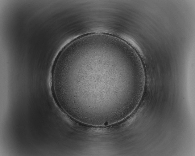 X0000094821040200711161524