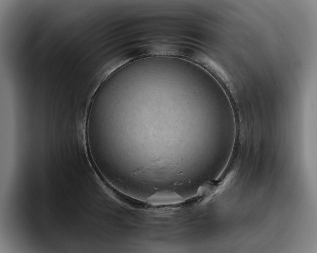 X0000094821041200711161524
