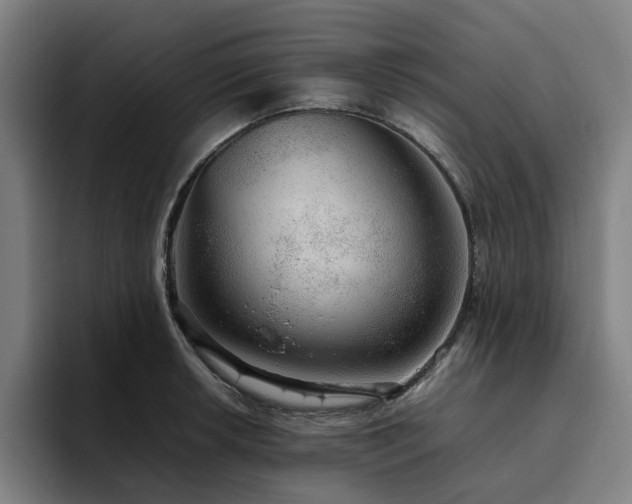 X0000094821042200711161524