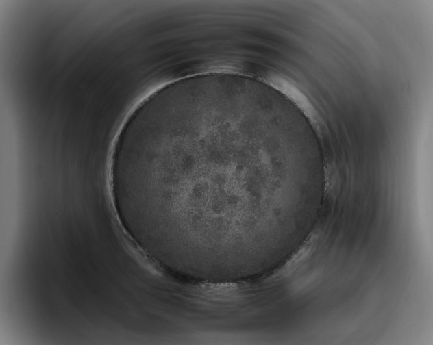 X0000094821043200711161524
