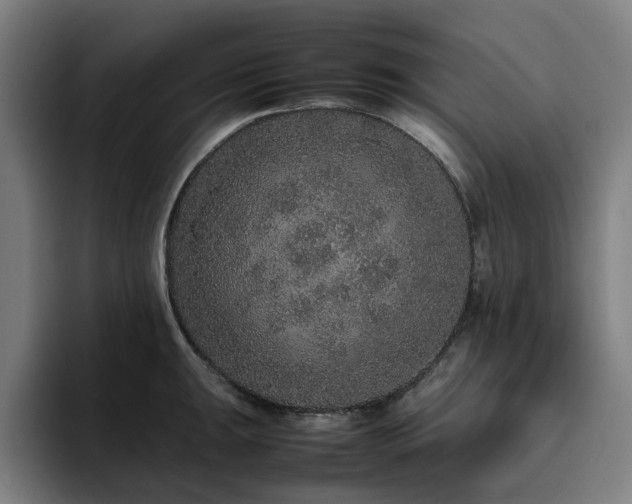 X0000094821047200711161524