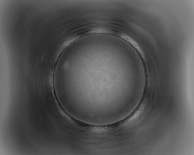 X0000094821049200711161524