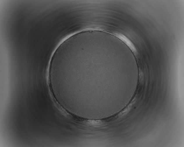 X0000094821052200711161524