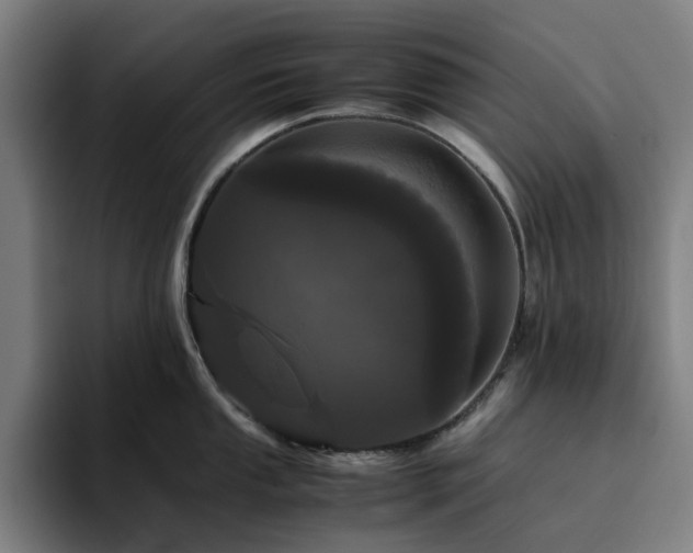 X0000094821053200711161524