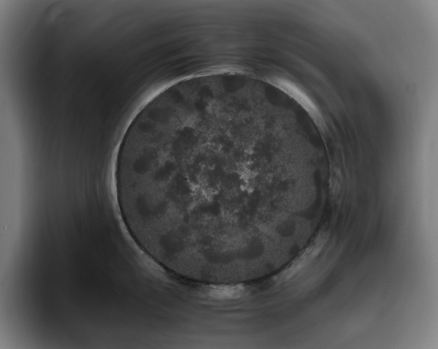 X0000094821055200711161524