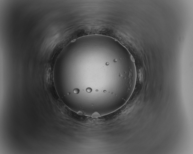 X0000094821059200711161523