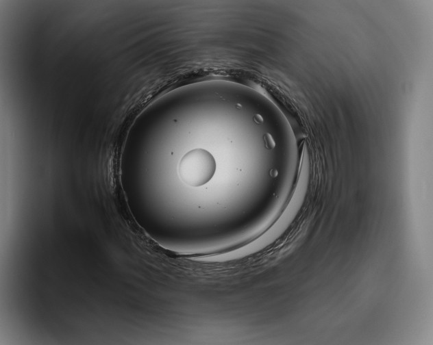X0000094821060200711161523