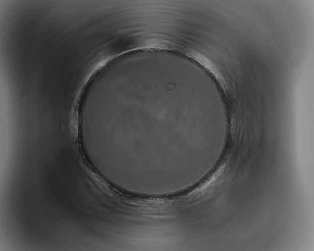 X0000094821067200711161523
