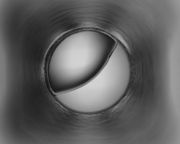 X0000094821068200711161523