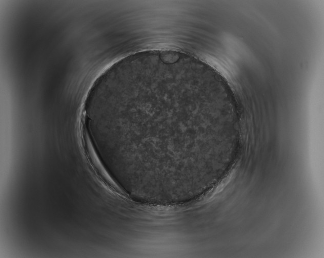 X0000094821071200711161523