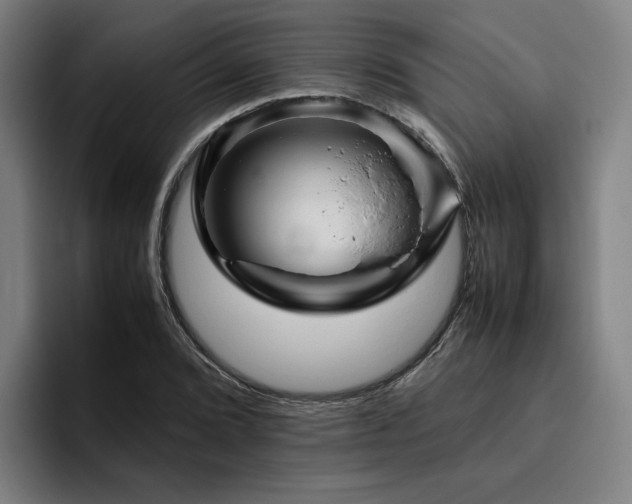 X0000094821072200711161523