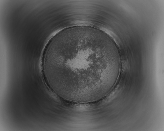 X0000094821074200711161523