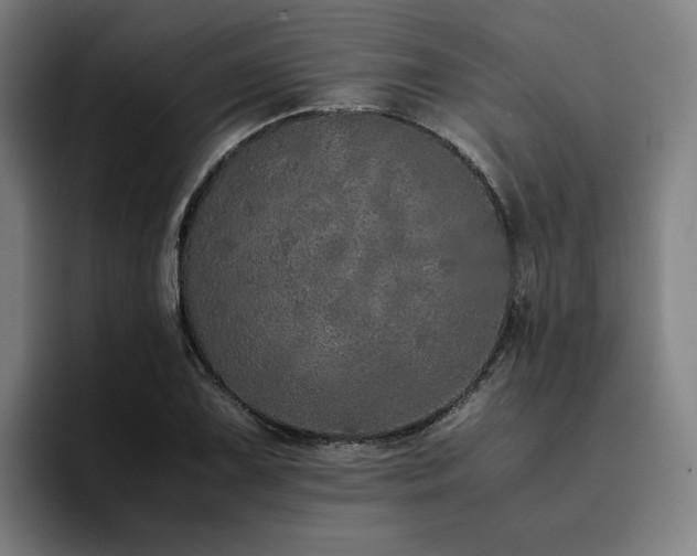 X0000094821075200711161523