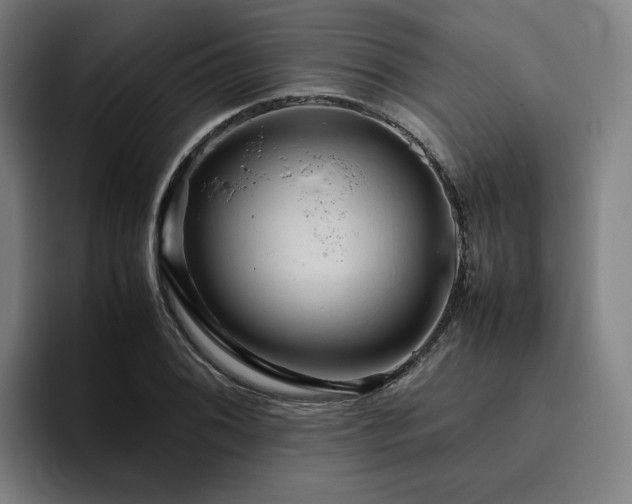 X0000094821076200711161523