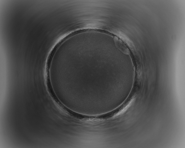 X0000094821077200711161523
