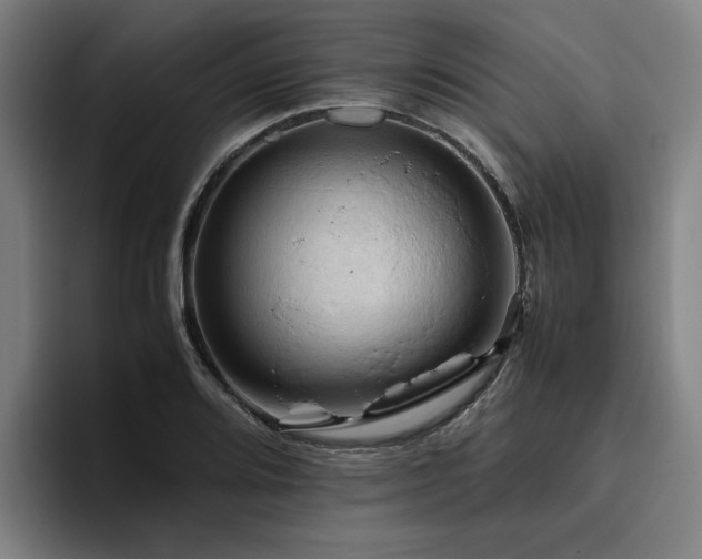 X0000094821080200711161523