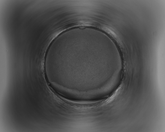 X0000094821081200711161523