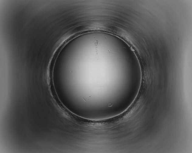 X0000094821082200711161523