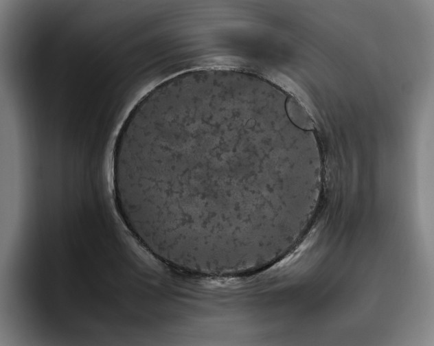 X0000094821083200711161523