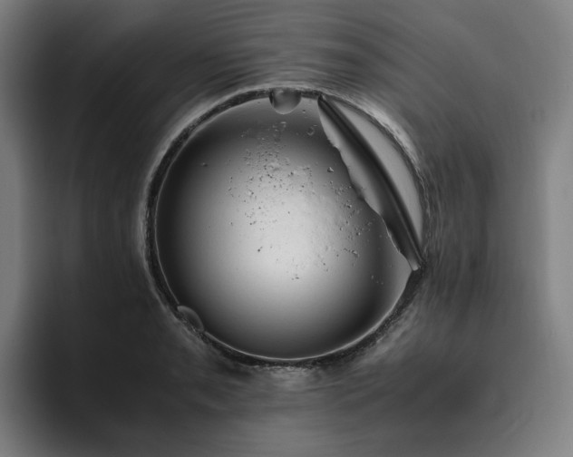 X0000094821085200711161523