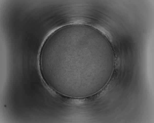 X0000094821086200711161523
