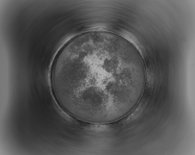 X0000094821090200711161523