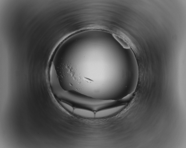 X0000094821092200711161523