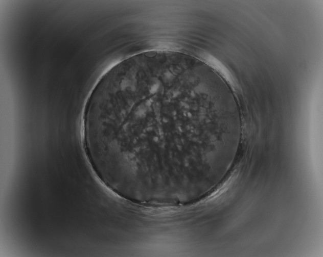 X0000094821095200711161523