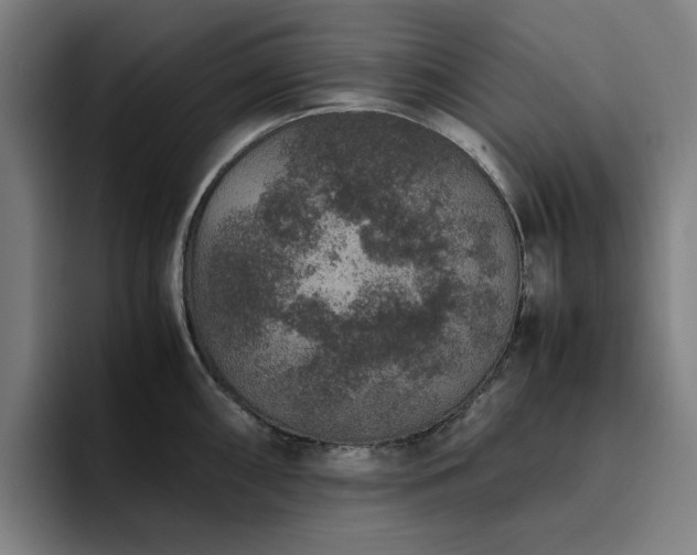 X0000094821098200711161523